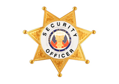 7-POINT STAR SECURITY OFFICER BADGES